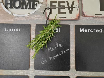 sechage du romarin